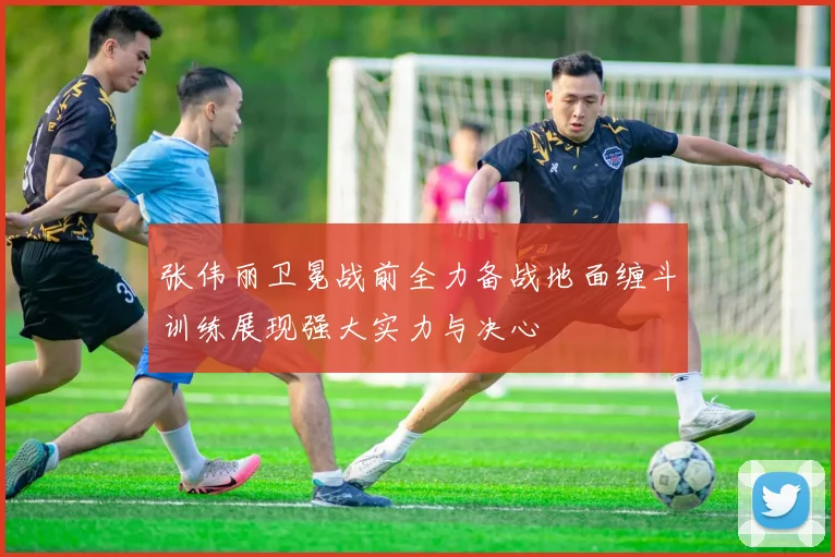张伟丽卫冕战前全力备战地面缠斗训练展现强大实力与决心