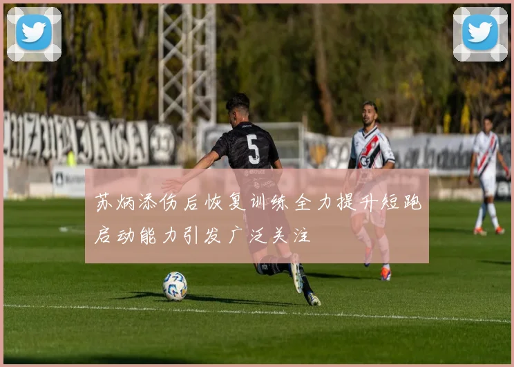 苏炳添伤后恢复训练全力提升短跑启动能力引发广泛关注
